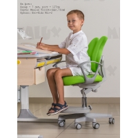 Детское кресло Evo-Kids Mio-2